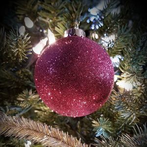 Meet your Posher, Rita